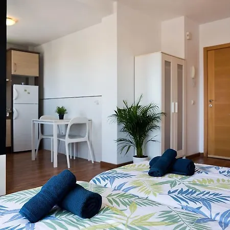 Loft Pedralejo *